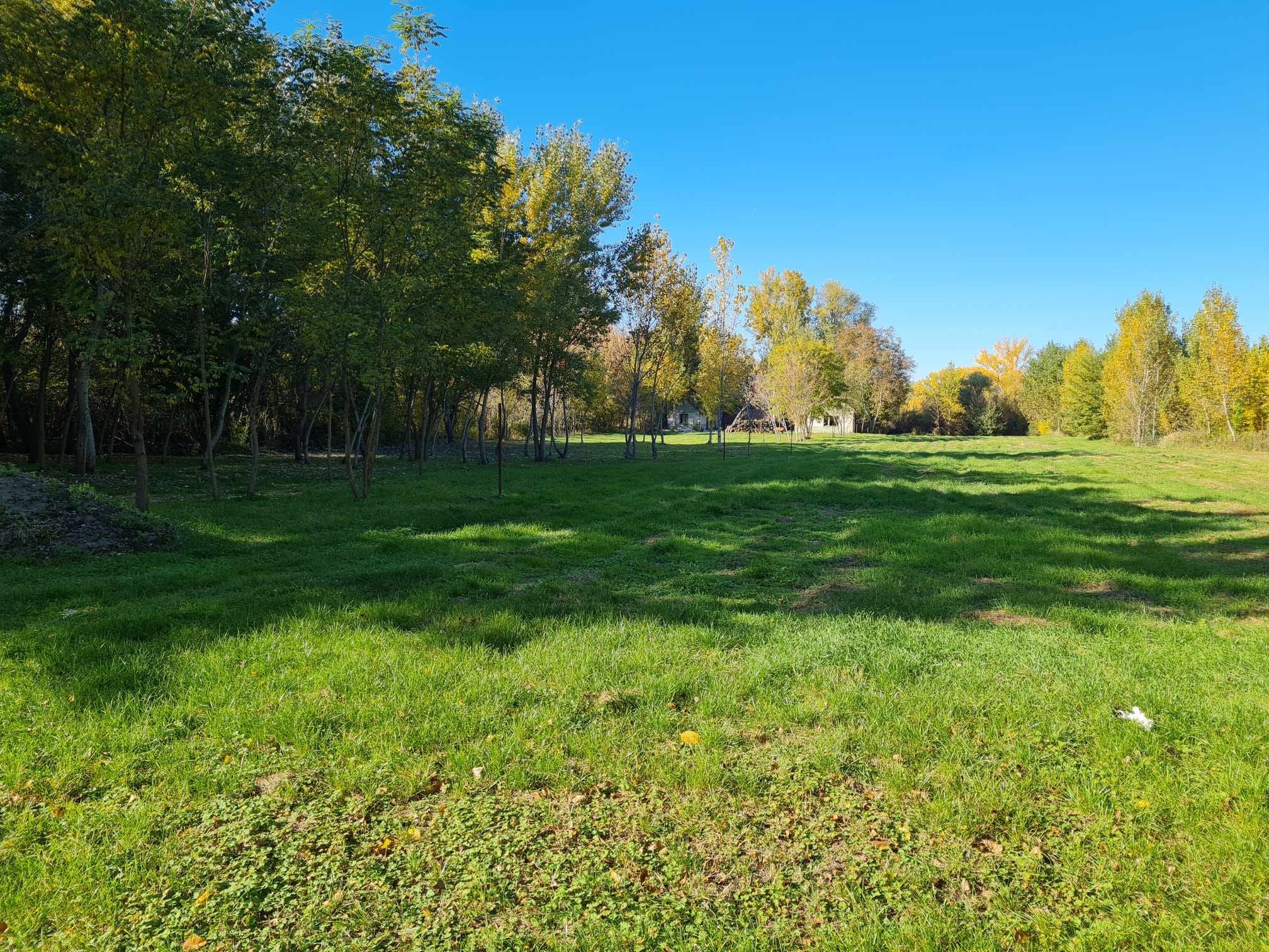 Potônske Lúky, okr. DS – NA PREDAJ jedinečný pozemok na brehu malého Dunaja s rodinným domom so súpisným číslom.