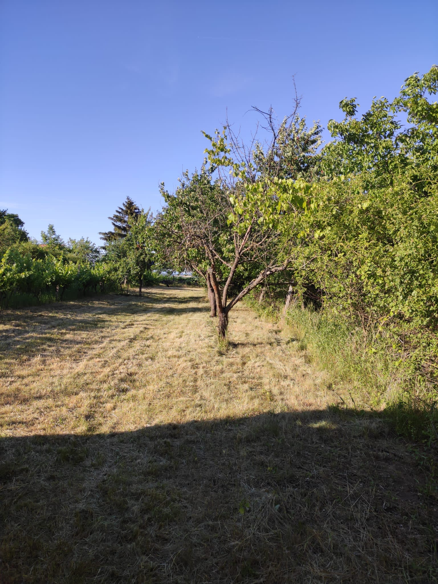 Nová nižšia cena!!! Wealth Group, s.r.o. ponúka exkluzívne na predaj rekreačnú chatu v obci Trávnica.