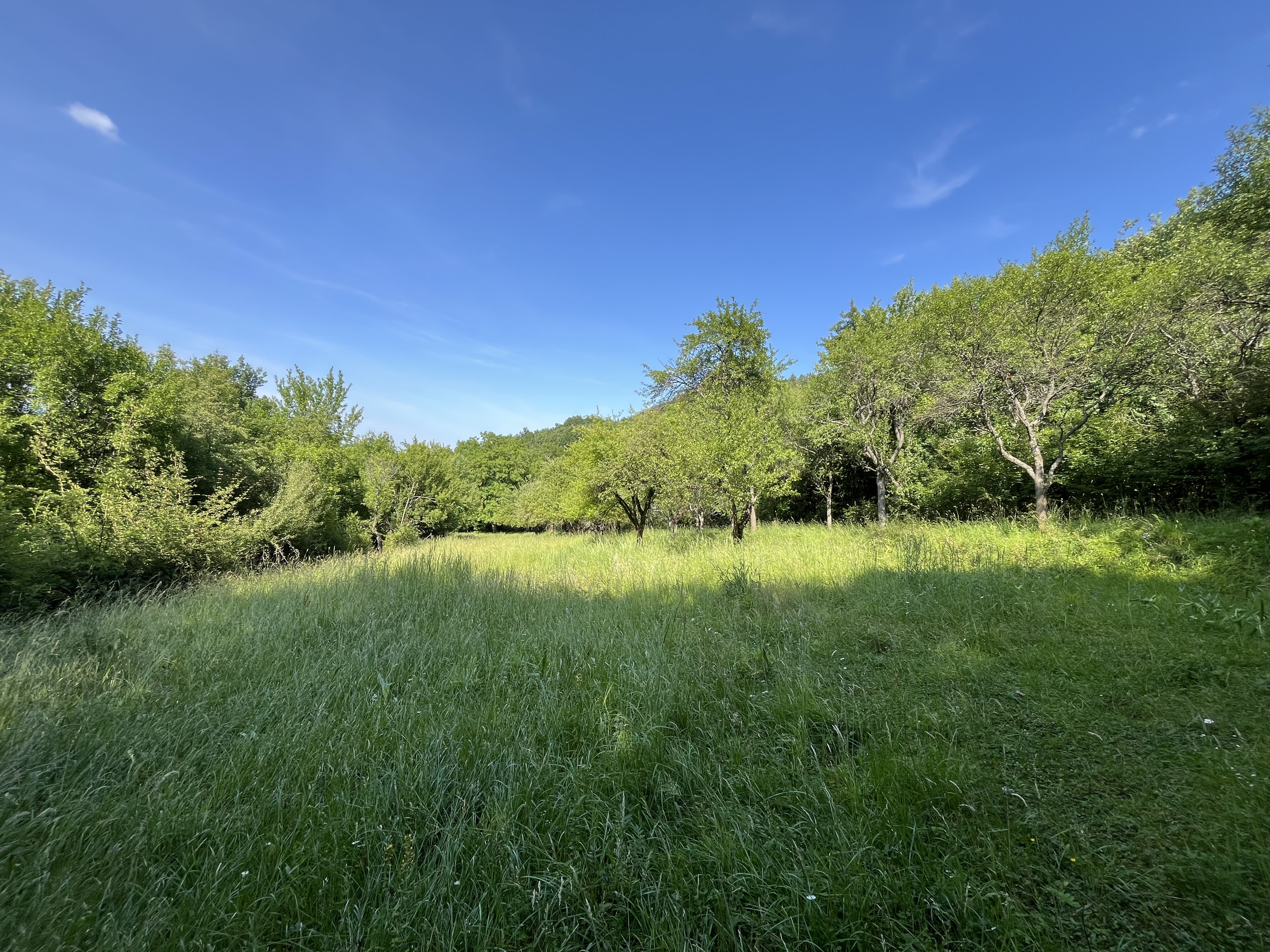 ,, Predané,, Wealth Group | ponúka predaj rekreačného pozemku v lone prírody - Bzince pod Javorinou, okr.Nové Mesto n/Váhom