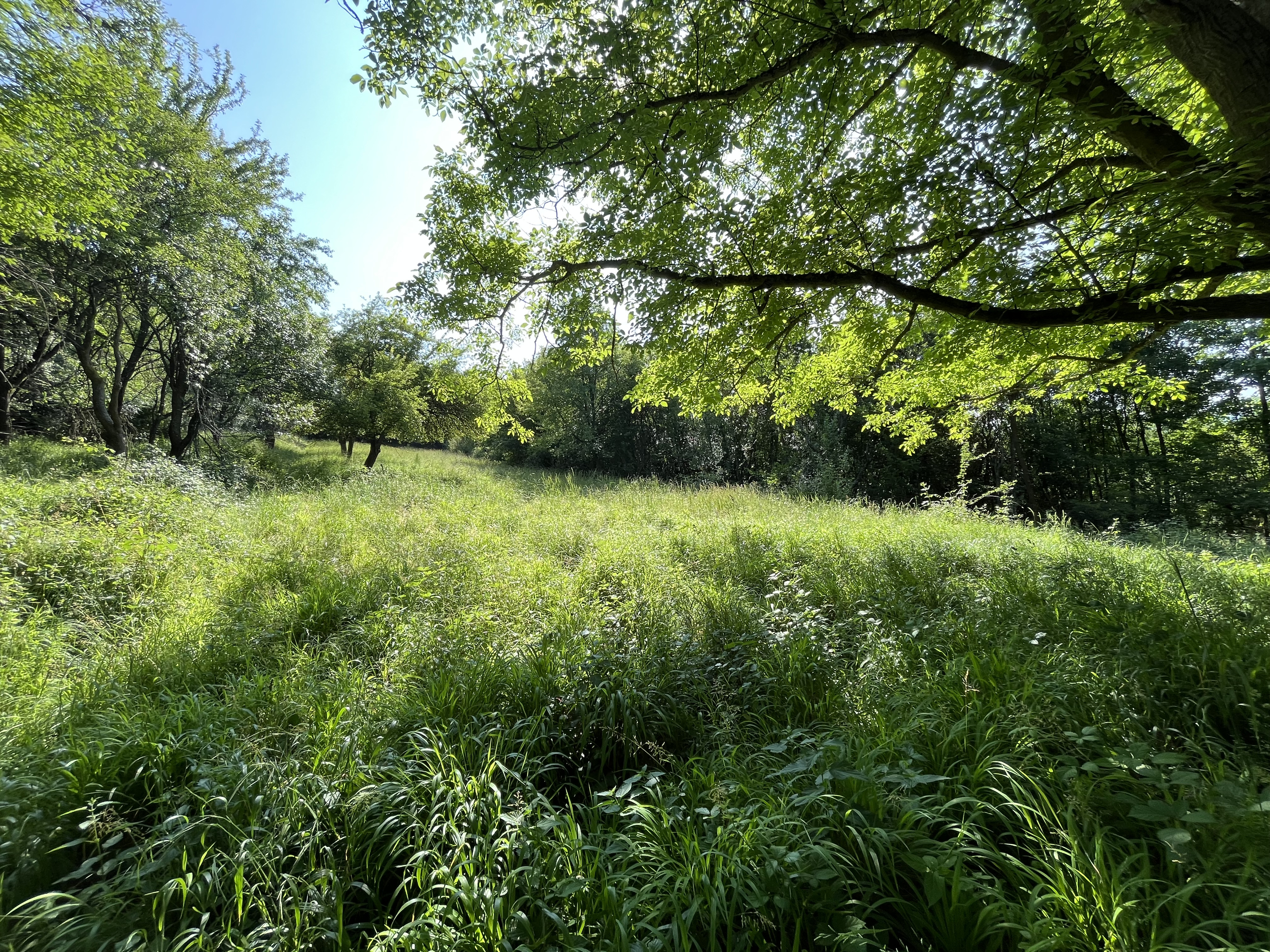 ,, Predané,, Wealth Group | ponúka predaj rekreačného pozemku v lone prírody - Bzince pod Javorinou, okr.Nové Mesto n/Váhom