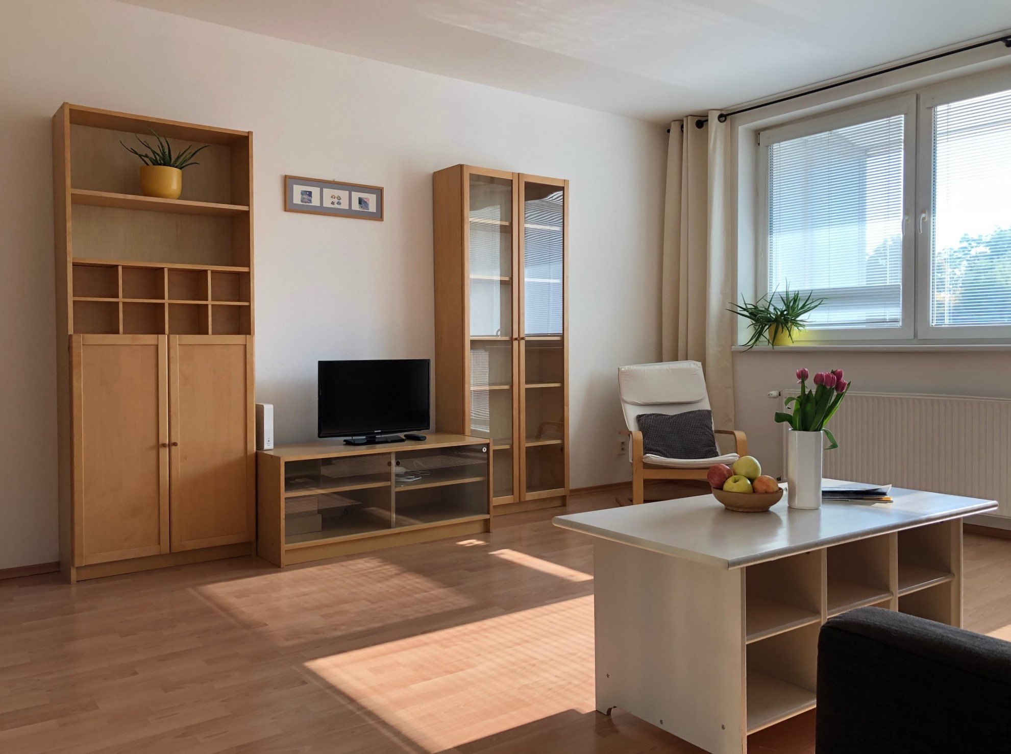 Na PRENÁJOM slnečný 1 izbový byt (44 m2) s veľkým  balkónom, Bratislava Petržalka