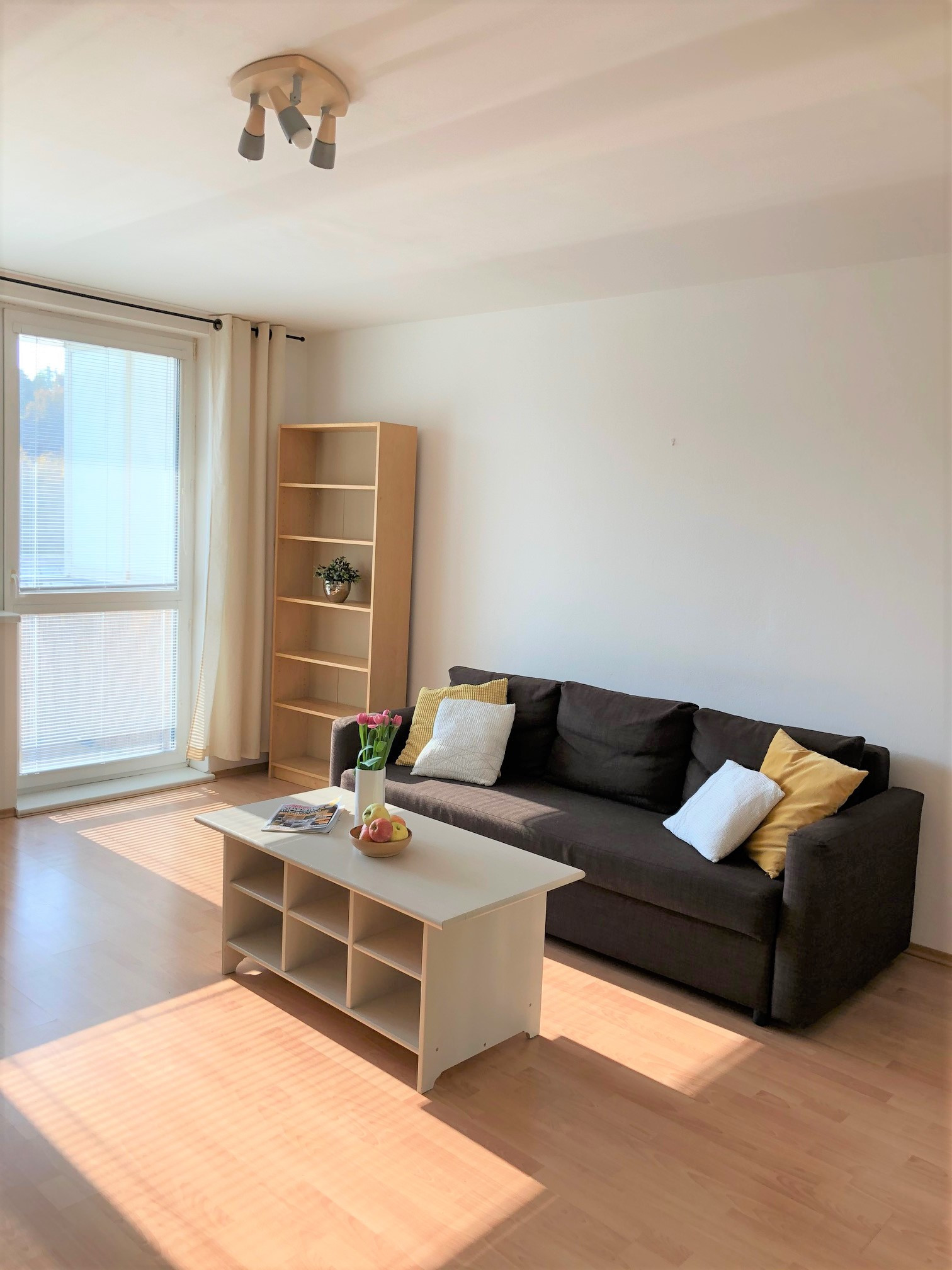 Na PRENÁJOM slnečný 1 izbový byt (44 m2) s veľkým  balkónom, Bratislava Petržalka
