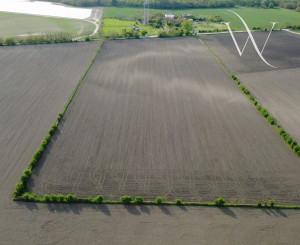 Rozľahlý pozemok na predaj v obci Kostolná pri Dunaji