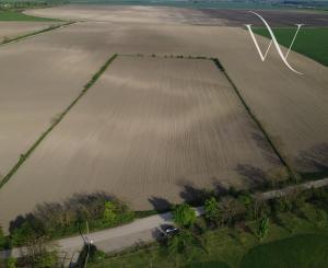 Rozľahlý pozemok na predaj v obci Kostolná pri Dunaji