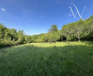 ,, Predané,, Wealth Group | ponúka predaj rekreačného pozemku v lone prírody - Bzince pod Javorinou, okr.Nové Mesto n/Váhom