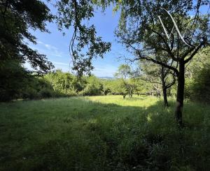 ,, Predané,, Wealth Group | ponúka predaj rekreačného pozemku v lone prírody - Bzince pod Javorinou, okr.Nové Mesto n/Váhom