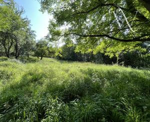 ,, Predané,, Wealth Group | ponúka predaj rekreačného pozemku v lone prírody - Bzince pod Javorinou, okr.Nové Mesto n/Váhom