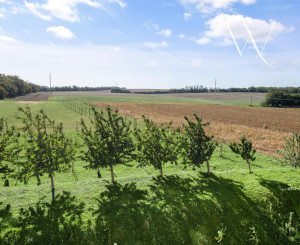 Na predaj slnečný 2-izbový byt s vlastným parkovacím miestom v obci Šelpice