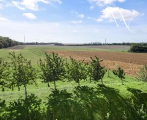 Na predaj slnečný 2-izbový byt s vlastným parkovacím miestom v obci Šelpice