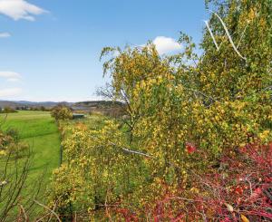 Na predaj priestranná 5-izbová chata s rozľahlým ovocným sadom v krásnej prírode v obci Stará Turá