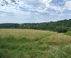 Krupina, časť Starý Háj – NA PREDAJ investičné pozemky