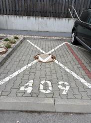 Prenájom -parkovacie statie-Slnečnice,ul.Fialova