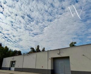 Na prenájom výrobno-skladový priestor  v Bratislave. - 930m2 - BRATISLAVA III. - Kramáre