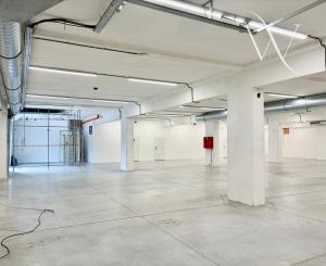 Na prenájom  priestor  v Bratislave. - 930m2 - BRATISLAVA III. - Kramáre