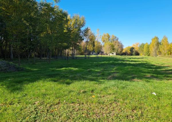 Potônske Lúky, okr. DS – NA PREDAJ jedinečný pozemok na brehu malého Dunaja s rodinným domom so súpisným číslom.