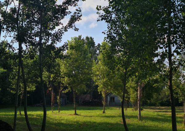 Potônske Lúky, okr. DS – NA PREDAJ jedinečný pozemok na brehu malého Dunaja s rodinným domom so súpisným číslom.