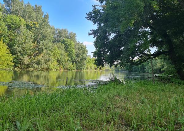 Potônske Lúky, okr. DS – NA PREDAJ jedinečný pozemok na brehu malého Dunaja s rodinným domom so súpisným číslom.