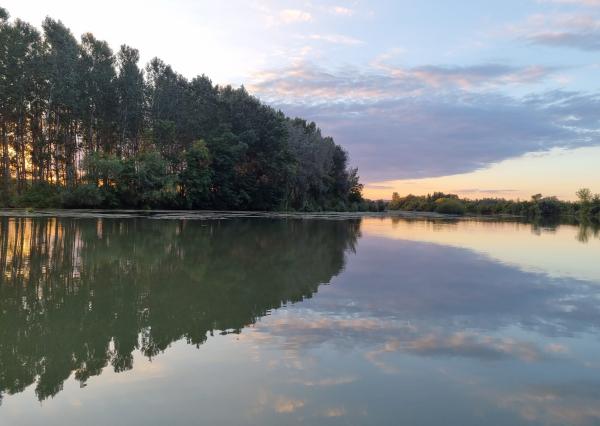 Potônske Lúky, okr. DS – NA PREDAJ jedinečný pozemok na brehu malého Dunaja s rodinným domom so súpisným číslom.
