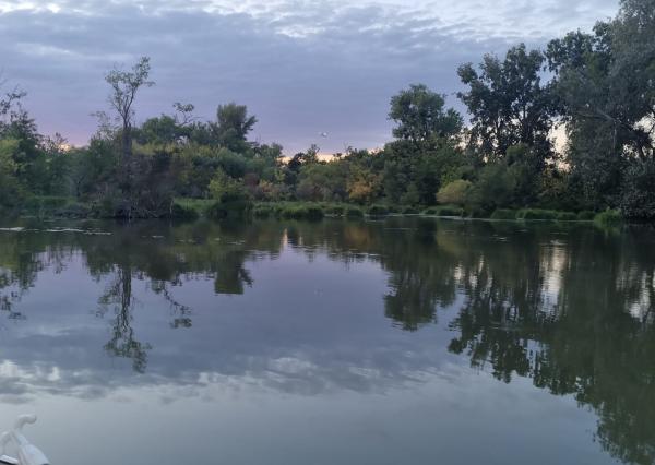 Potônske Lúky, okr. DS – NA PREDAJ jedinečný pozemok na brehu malého Dunaja s rodinným domom so súpisným číslom.