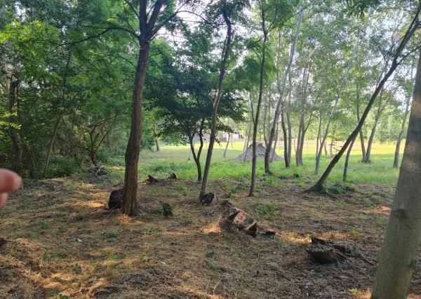 Potônske Lúky, okr. DS – NA PREDAJ jedinečný pozemok na brehu malého Dunaja s rodinným domom so súpisným číslom.