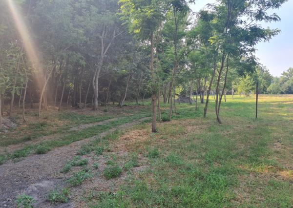 Potônske Lúky, okr. DS – NA PREDAJ jedinečný pozemok na brehu malého Dunaja s rodinným domom so súpisným číslom.