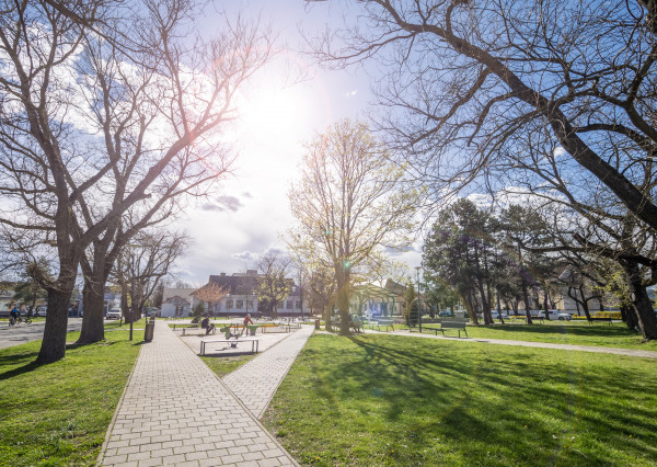 Na PREDAJ 4-izbový rodinný dom v srdci Vajnor (so znaleckým posudkom)