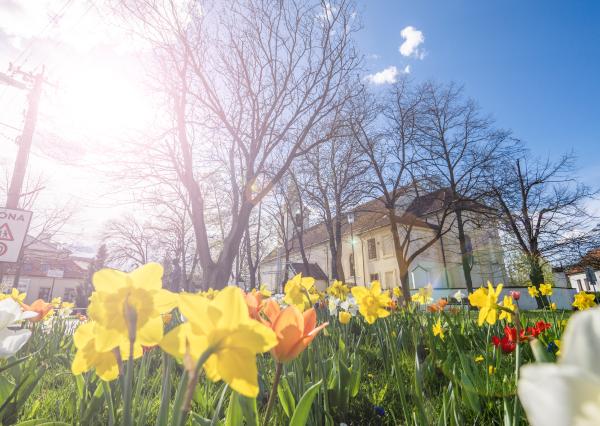 Na PREDAJ 4-izbový rodinný dom v srdci Vajnor (so znaleckým posudkom)