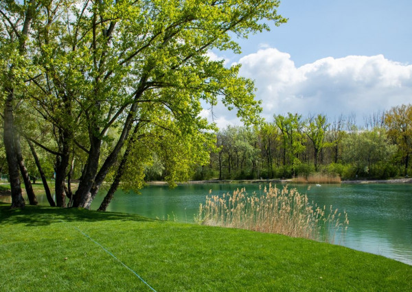 Na prenájom utulný 2 izbový byt v Bratislave-Petržalke