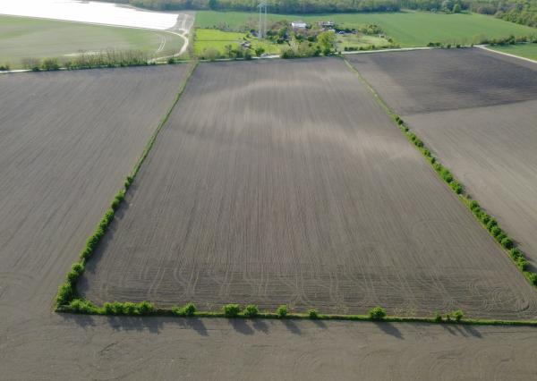 Rozľahlý pozemok na predaj v obci Kostolná pri Dunaji