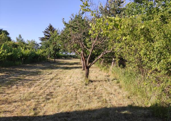 Nová nižšia cena!!! Wealth Group, s.r.o. ponúka exkluzívne na predaj rekreačnú chatu v obci Trávnica.