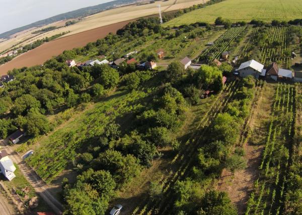 Nová nižšia cena!!! Wealth Group, s.r.o. ponúka exkluzívne na predaj rekreačnú chatu v obci Trávnica.