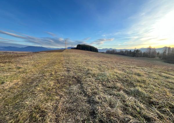 Wealth Group | ponúka na predaj slnečný pozemok ,, Kľače - okr.Žilina 