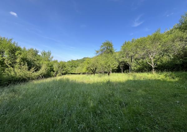 ,, Predané,, Wealth Group | ponúka predaj rekreačného pozemku v lone prírody - Bzince pod Javorinou, okr.Nové Mesto n/Váhom