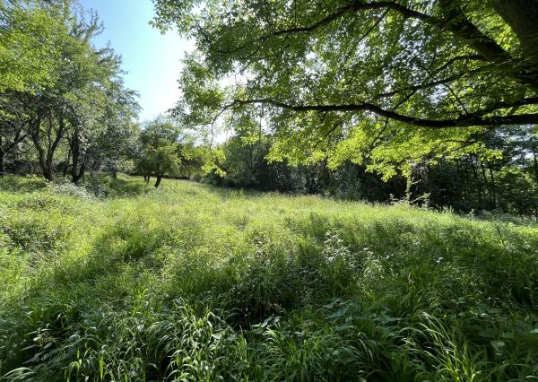 ,, Predané,, Wealth Group | ponúka predaj rekreačného pozemku v lone prírody - Bzince pod Javorinou, okr.Nové Mesto n/Váhom