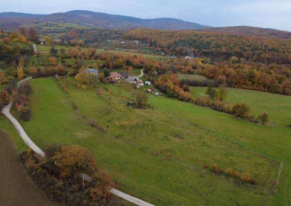 Na predaj priestranná 5-izbová chata s rozľahlým ovocným sadom v krásnej prírode v obci Stará Turá