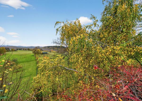 Na predaj priestranná 5-izbová chata s rozľahlým ovocným sadom v krásnej prírode v obci Stará Turá