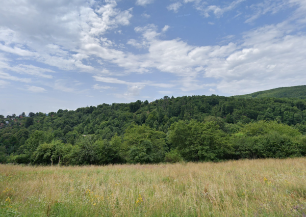 Krupina, časť Starý Háj – NA PREDAJ investičné pozemky