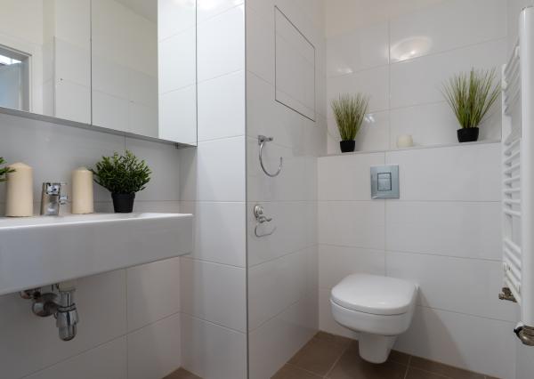 Na prenájom  velký  2 izbový byt v Bratislave v projekte -Slnečnice