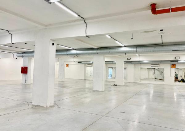 Na prenájom výrobno-skladový priestor  v Bratislave. - 930m2 - BRATISLAVA III. - Kramáre