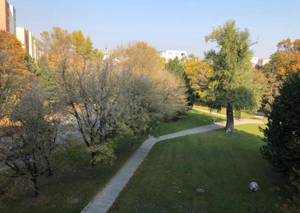 Na PRENÁJOM slnečný 1 izbový byt (44 m2) s veľkým  balkónom, Bratislava Petržalka