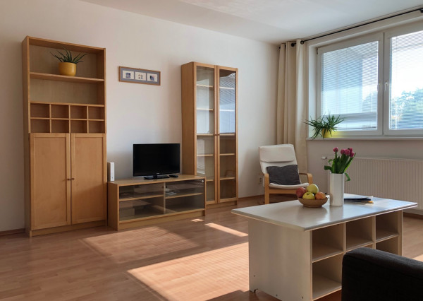 Na PRENÁJOM slnečný 1 izbový byt (44 m2) s veľkým  balkónom, Bratislava Petržalka