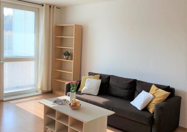 Na PRENÁJOM slnečný 1 izbový byt (44 m2) s veľkým  balkónom, Bratislava Petržalka