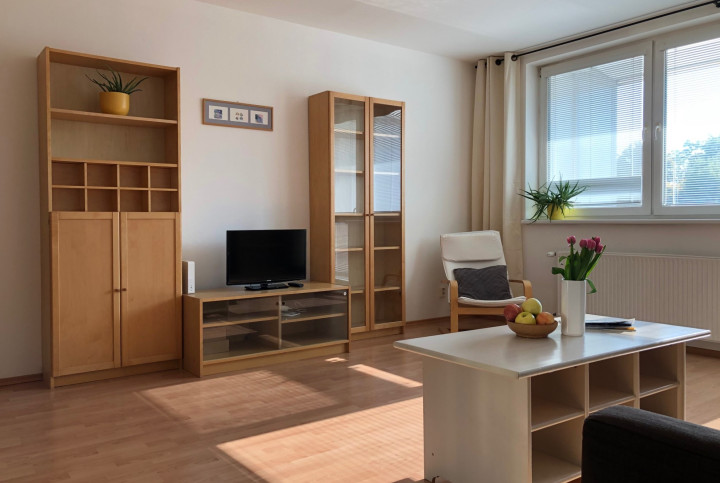Na PRENÁJOM slnečný 1 izbový byt (44 m2) s veľkým  balkónom, Bratislava Petržalka
